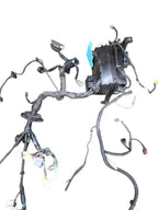 4 RUNNER  2005 Lamp Wiring Harness 639677