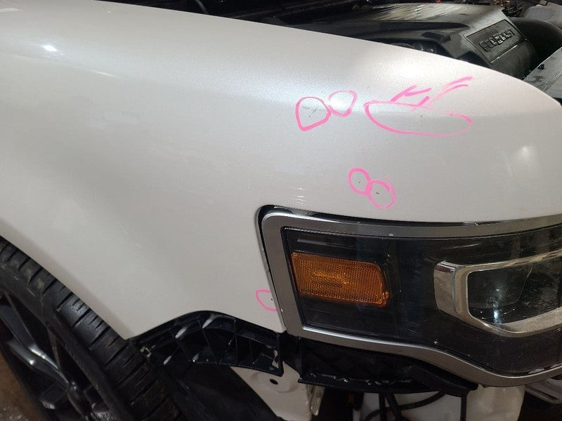 Passenger Right Fender Fits 09-19 FLEX 659147