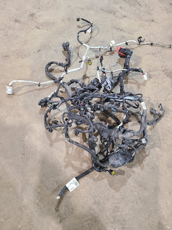 VOYAGER   2020 Engine Wire Harness 623331
