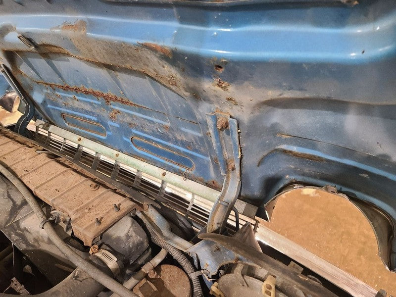 Hood Fits 75-77 PACER 661287