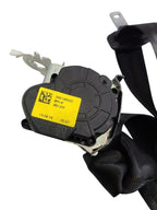 GIULIA    2019 Seat Belt Rear 612923