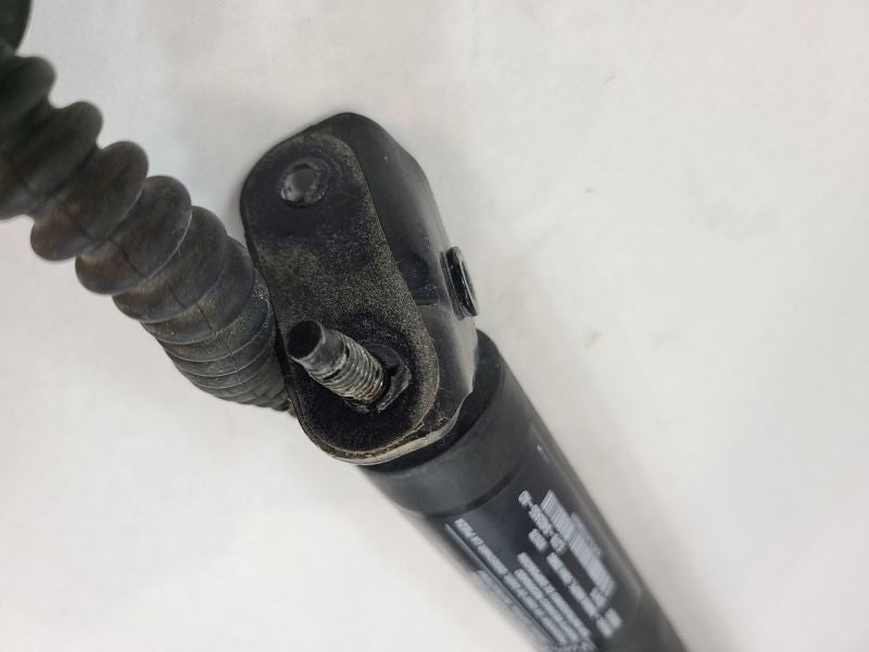 MKC       2017 Hatchback Strut 559734