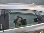 Driver Left Rear Door Glass Tinted Fits 12-18 FOCUS 640910