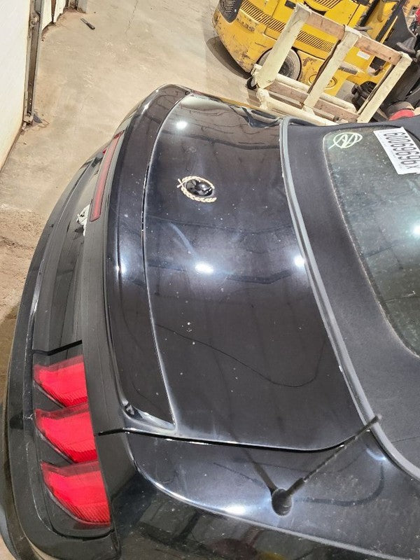 Trunk/Hatch/Tailgate Convertible With Spoiler Fits 15-23 MUSTANG 67688
