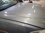 Hood Fits 05-07 ALLURE 669450