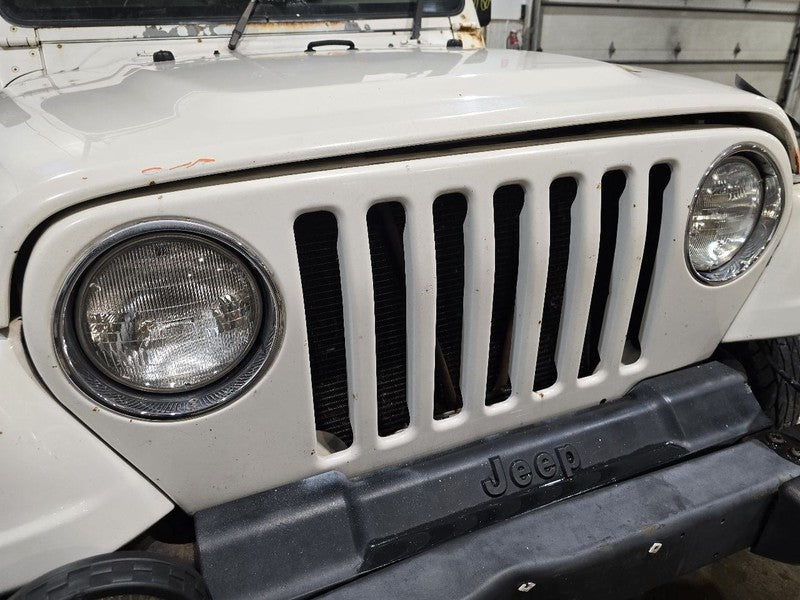 Grille Fits 97-06 WRANGLER 612654