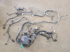 F150      2018 Lamp Wiring Harness 674051