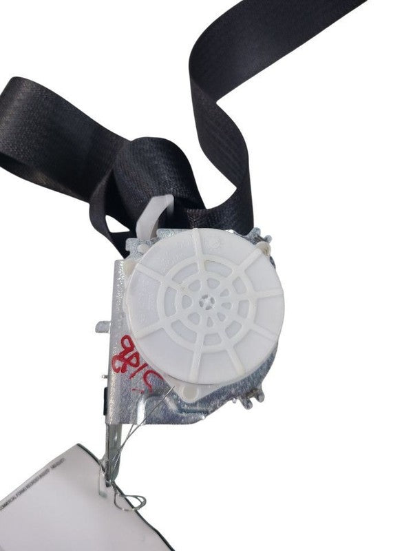 SILVRDO25 2022 Seat Belt Rear 642622