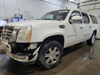 Seat Belt Front Bucket And Bench Passenger Fits 07-08 AVALANCHE 1500 6