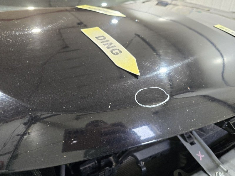 Hood Fits 15-21 OUTLANDER 631311