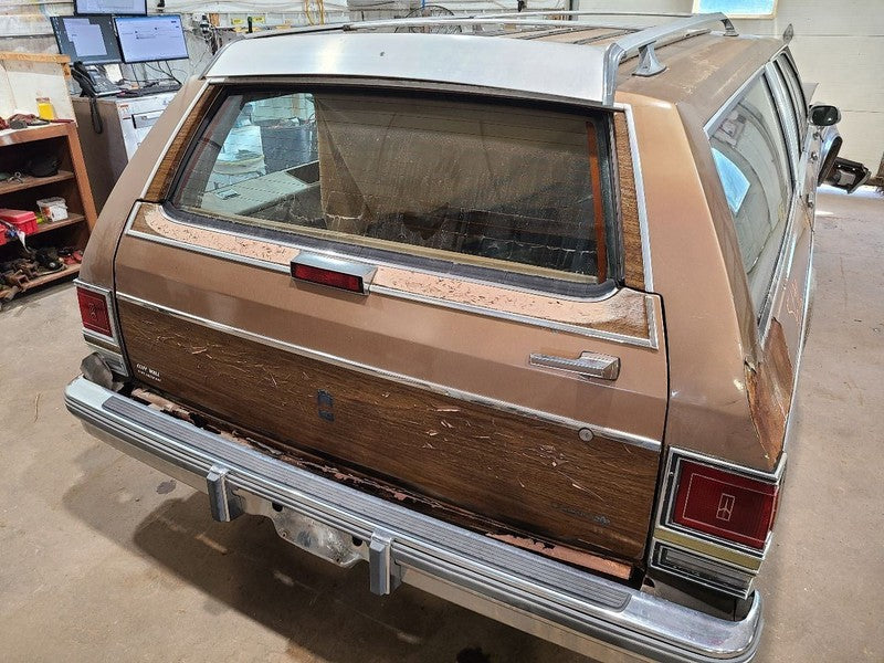 OLDS-SW   1988 Luggage Rack 677776