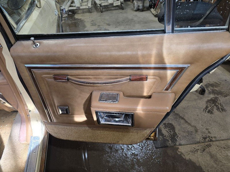 Rear Passenger Door Trim Panel Fits 1978 OLDSMOBILE SW 647899