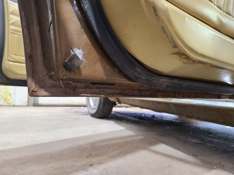Driver Left Rear Side Door Fits 68-76 DART 668126