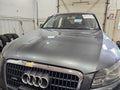 Hood Fits 09-12 AUDI Q5 638998