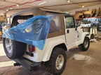 Fuel Pump Assembly Includes Sender Fits 97-02 WRANGLER 680074