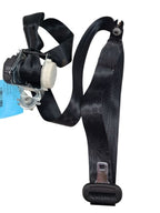 FUSION    2019 Seat Belt Rear 636101