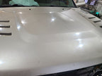 Hood Fits 10-18 DODGE 2500 PICKUP 661980