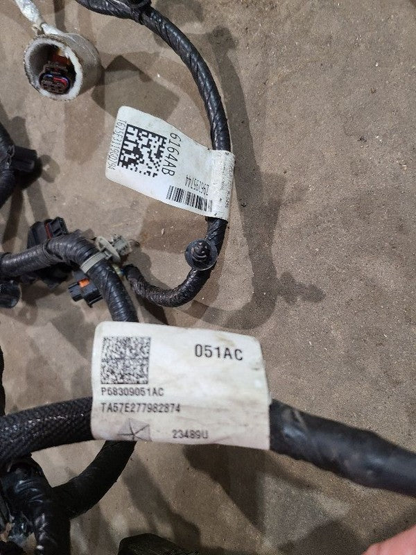 VOYAGER   2020 Engine Wire Harness 623331