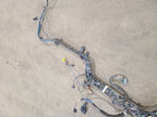 RAM3500   2005 Dash Wire Harness 617075