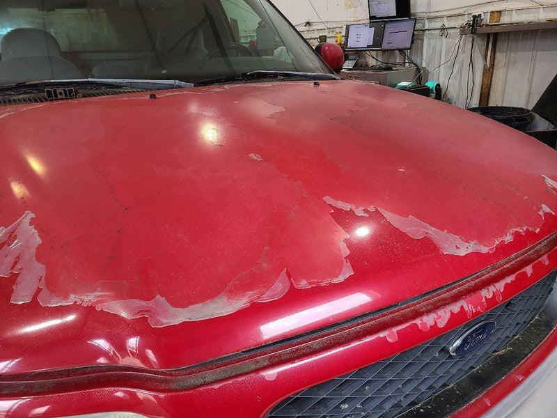 Hood Fits 97-98 EXPEDITION 666795