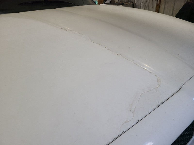 Hood Fits 94-02 DODGE 2500 PICKUP 665639