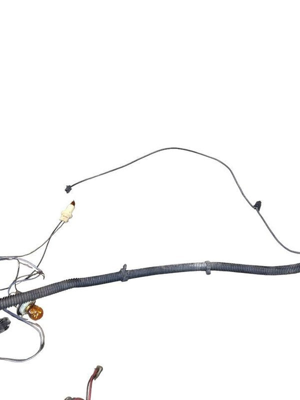 CUSTOM-SW 1978 Lamp Wiring Harness 647945