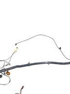 CUSTOM-SW 1978 Lamp Wiring Harness 647945