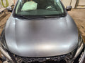 Hood Fits 15-24 MURANO 657498