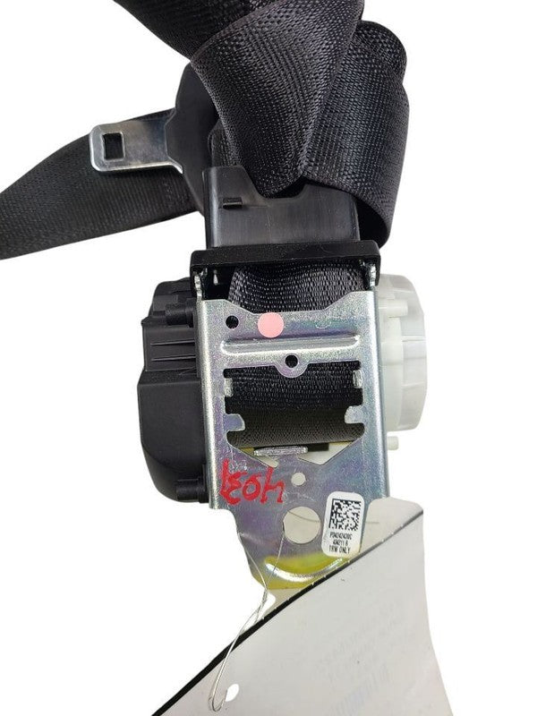 SILVRDO15 2022 Seat Belt Rear 617172