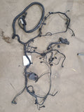 SPRINTV25 2008 Engine Wire Harness 672977
