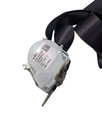 SILVRDO15 2015 Seat Belt Rear 641410