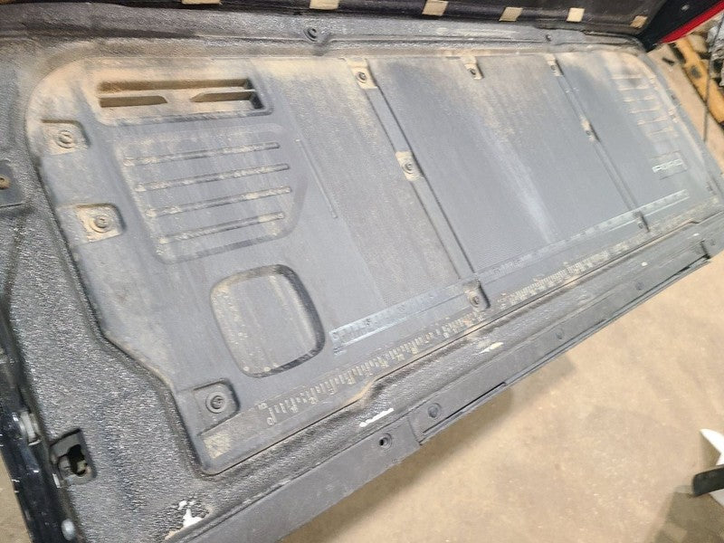 Trunk/Hatch/Tailgate Platinum Fits 21-23 FORD F150 PICKUP 680765