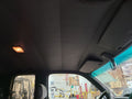 T100      1995 Headliner 663783