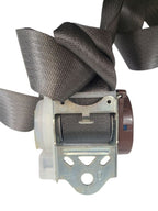 F150      2016 Seat Belt Rear 622489