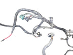 F350SD    2005 Engine Wire Harness 648014