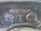 SILVRDO25 2015 Center Cap (Wheel) 193167