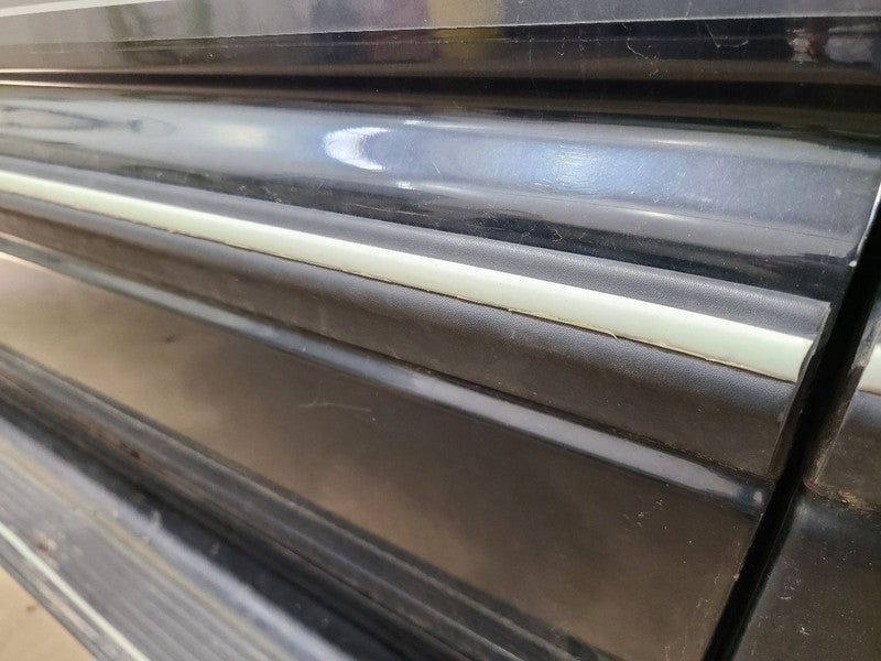 RAM1500   1996 Door Moulding Front 662840