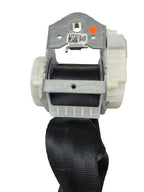 JETTA     2015 Seat Belt Rear 585091