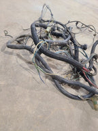 PACER     1976 Engine Wire Harness 661331