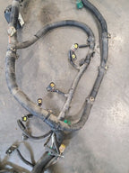 RAM1500   2001 Engine Wire Harness 667088