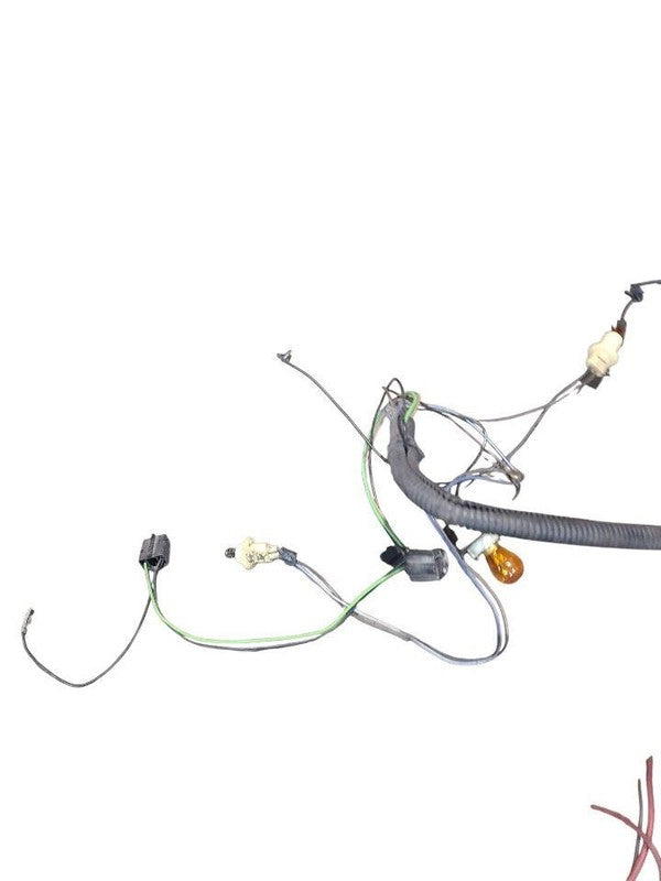 CUSTOM-SW 1978 Lamp Wiring Harness 647945