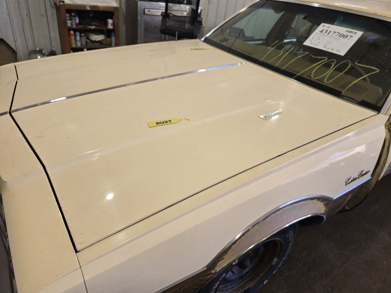 Hood Fits 77-79 OLDSMOBILE 647875