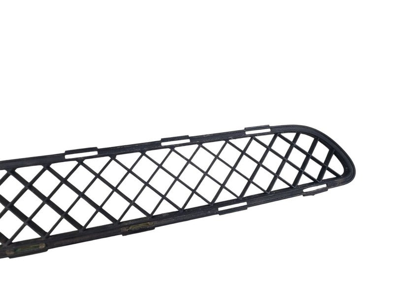 Grille Lower Fits 08-12 ENCLAVE 657306