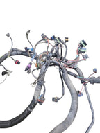 CENTURY   1994 Engine Wire Harness 655488