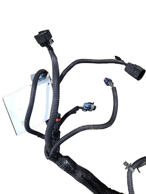 ESCALAESV 2010 Lamp Wiring Harness 645314