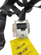 EQUINOX   2019 Seat Belt Rear 617310