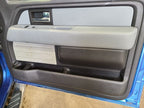 Passenger Front Door Electric Fits 09-14 FORD F150 PICKUP 672450