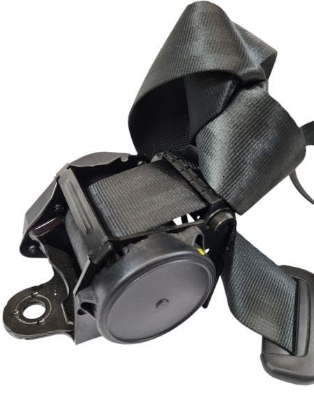 JETTA     2019 Seat Belt Rear 599421