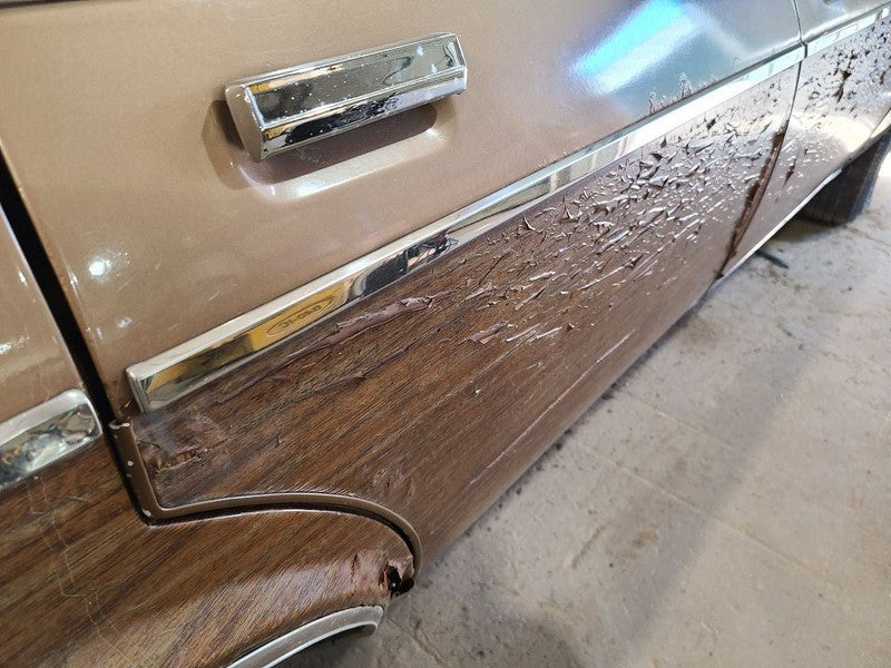 OLDS-SW   1988 Door Moulding Rear 677774