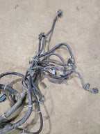 SIEDENALI 2010 Lamp Wiring Harness 613215